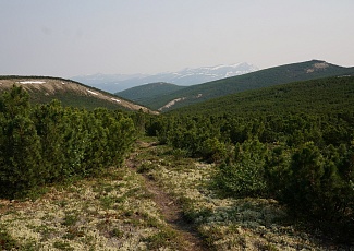 Путь Байкальского охотника